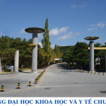 TRƯỜNG ĐẠI HỌC KHOA HỌC Y TẾ CHUNGBUK VÀ CÁC HỆ DU HỌC CHO DU HỌC SINH VIỆT NAM